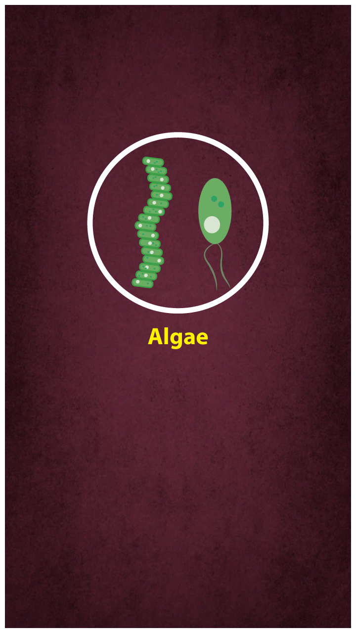 Categories And Features Of Kingdom Monera, Protista And Fungi - Aakash Blog