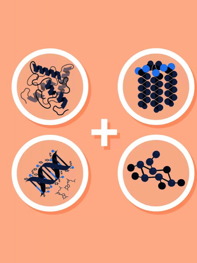 Which Biomolecule Has Sugars and Starches? Aakash Blog