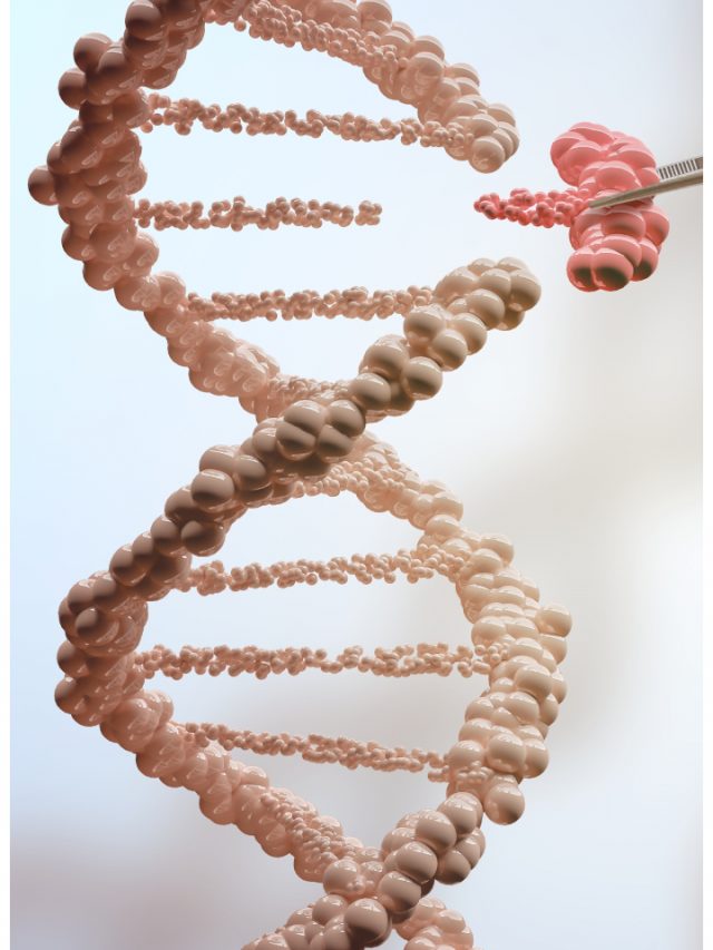 CBSE 2023 Important Study Notes for Class 10 Biology Aakash Blog