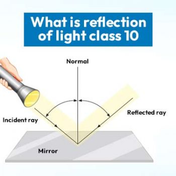 What is Inertia?